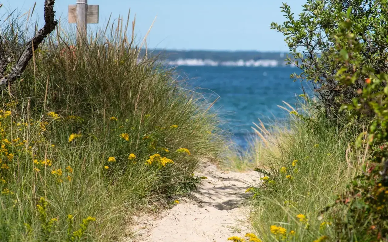 A trail at Long Point Wildlife Refuge on Martha’s Vineyard