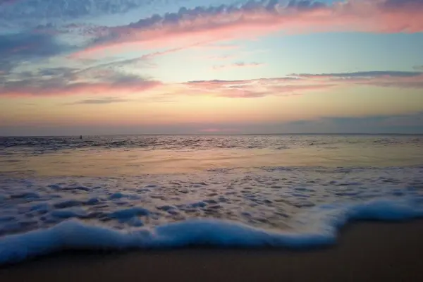 Exploring The Beauty Of Long Point Wildlife Refuge In West Tisbury