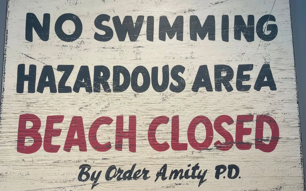 Hand-painted wooden sign reading No Swimming Hazardous Area Beach Closed By Order Amity P.D.