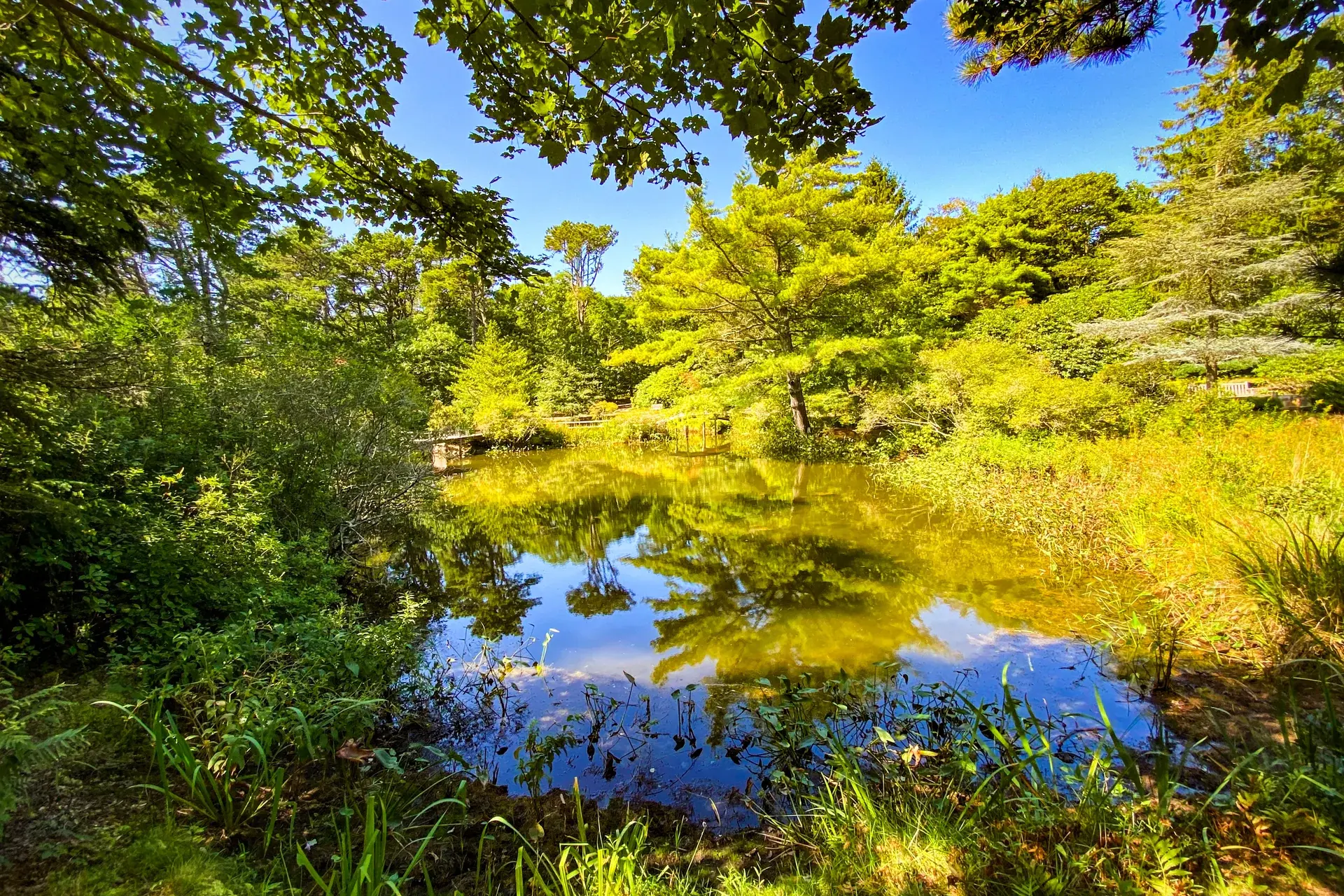 Mytoi Japanese Garden, Chappaquiddick: Hours, Admission, History and How to Get There (2026)