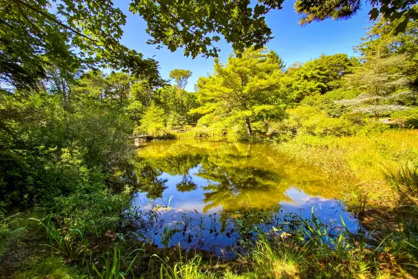 Mytoi Japanese Garden, Chappaquiddick: Hours, Admission, History and How to Get There (2026)
