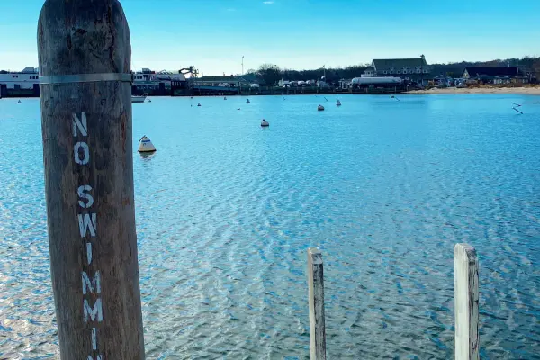 Harbor buoys beyond the old No Swimming piling, Vineyard Haven