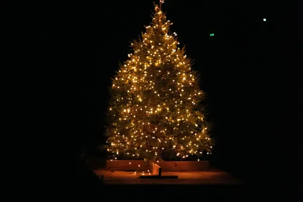 Christmas tree glowing with lights on a dark night
