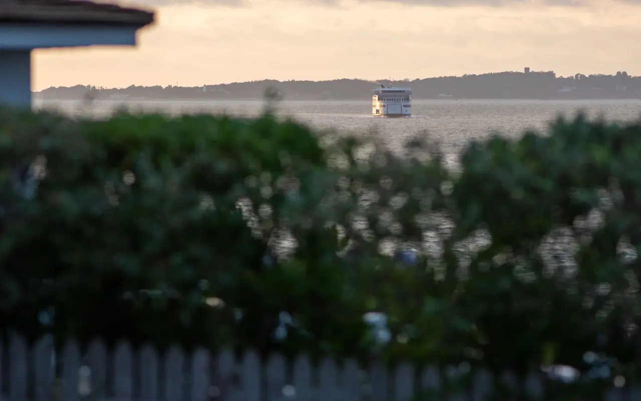 A distant ferry on the water off East Chop at dusk, seen over a fence and shrubs from Oak Bluffs