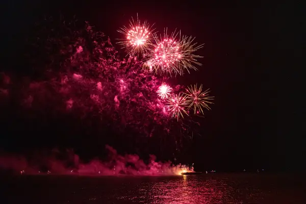 Pink fireworks lighting up the night sky over the water
