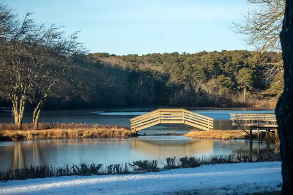 Wooden footbridges over a quiet winter pond in Oak Bluffs