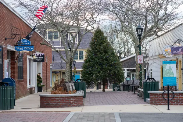 The holiday tree by the Oak Bluffs Post Office