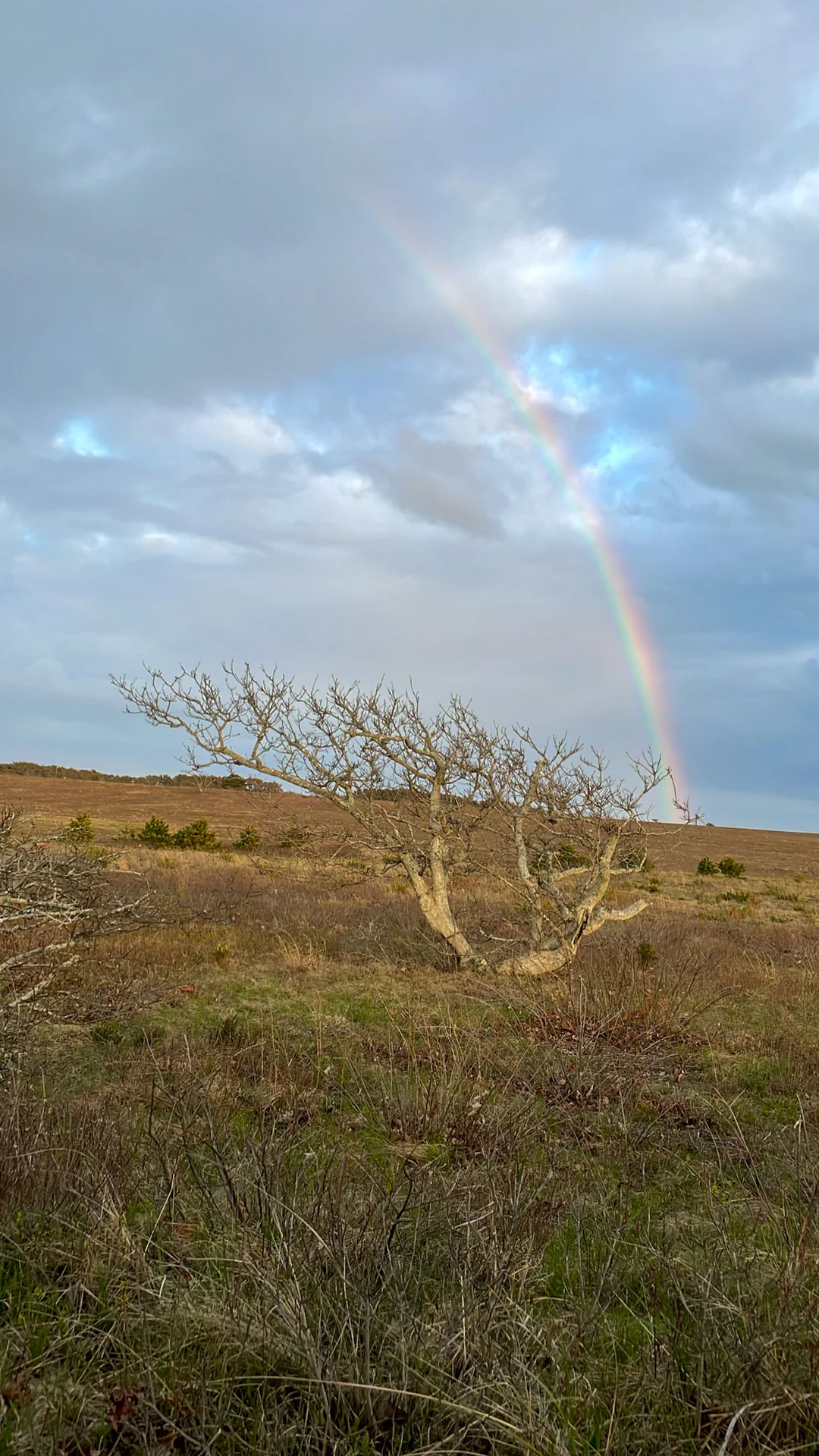A rainbow over the Katama plains