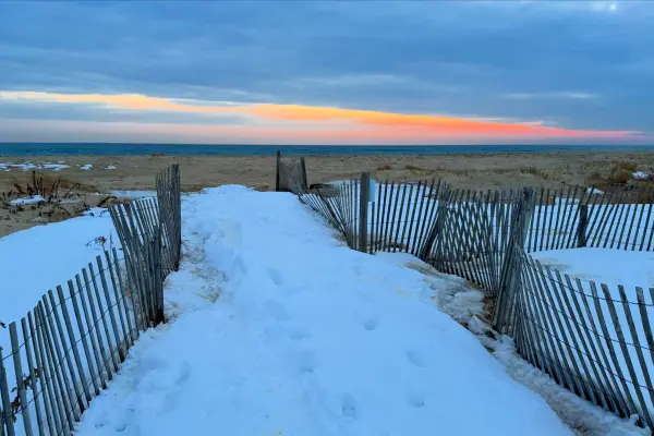Snowy path through dune fencing at Katama's Right Fork, South Beach