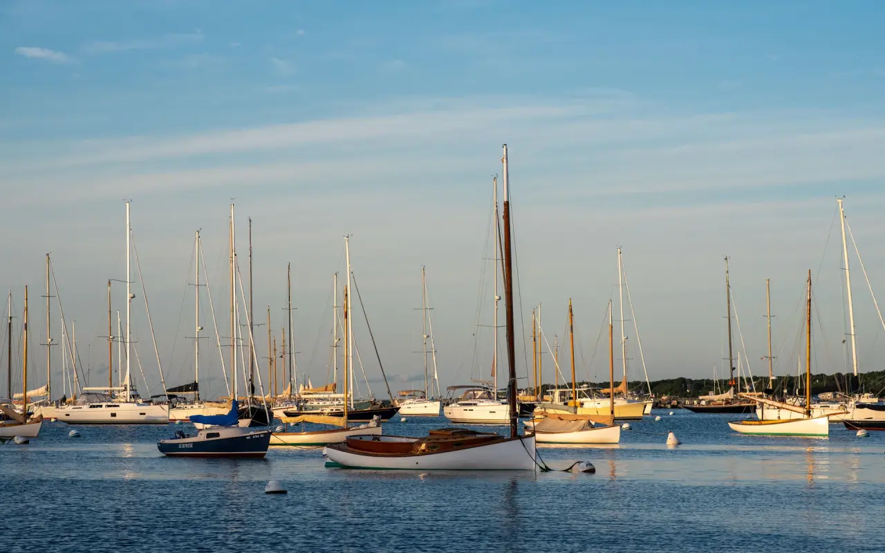 Sailboats and a schooner moored in Vineyard Haven harbor