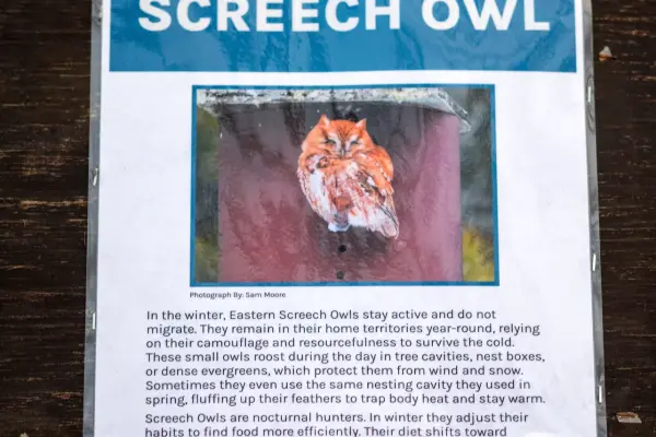 Screech owl interpretive sign along the sanctuary trail
