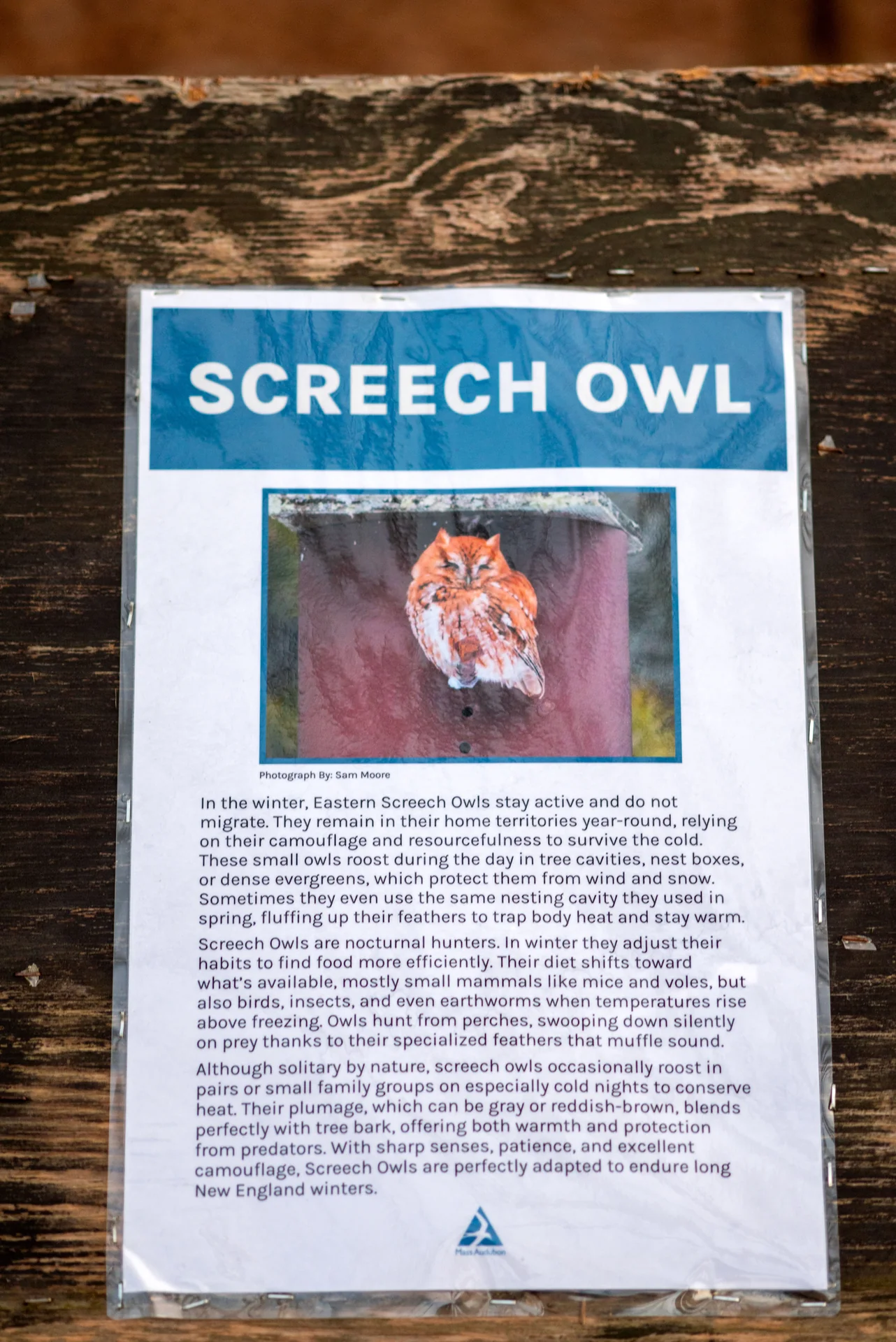 Screech owl interpretive sign along the sanctuary trail