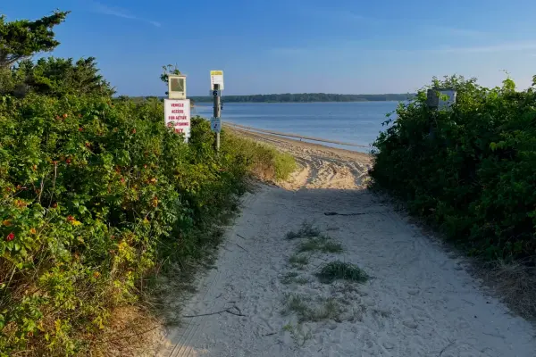 Kayaking Martha's Vineyard: Complete Guide to Ponds, Routes, Rentals and Safety (2026)