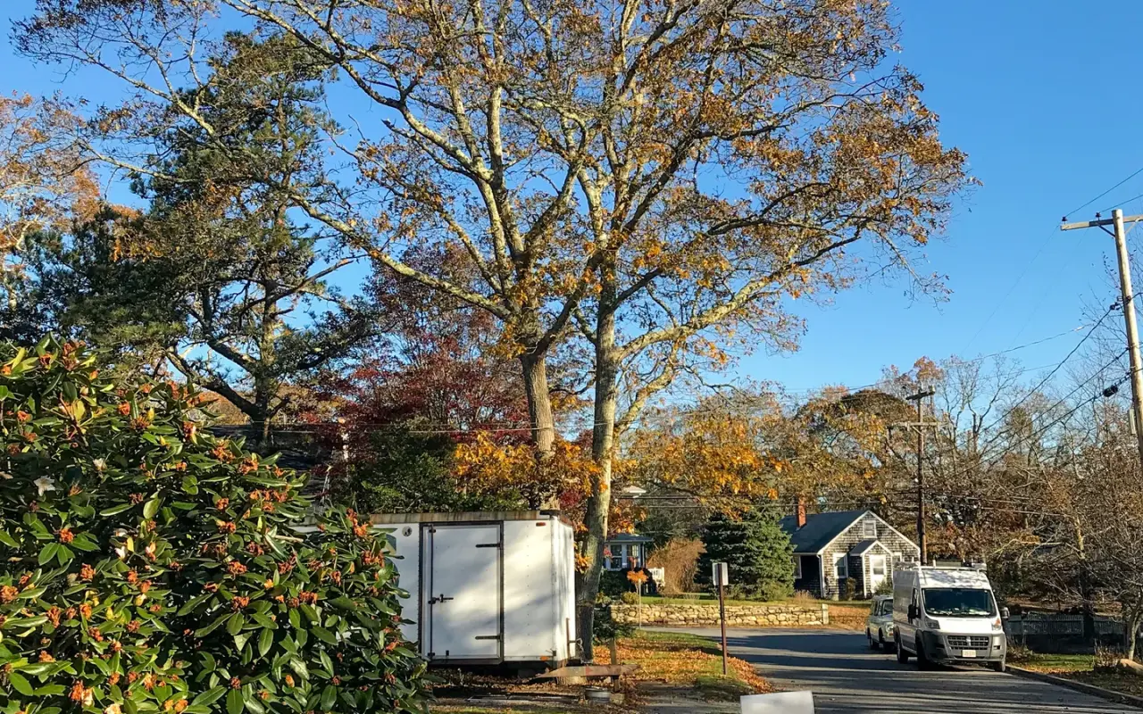 A quiet street corner on Skiff Avenue in Vineyard Haven in autumn with tall trees, a house and parked vehicles