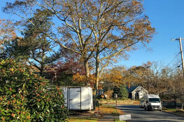 Autumn day on Skiff Avenue in Vineyard Haven