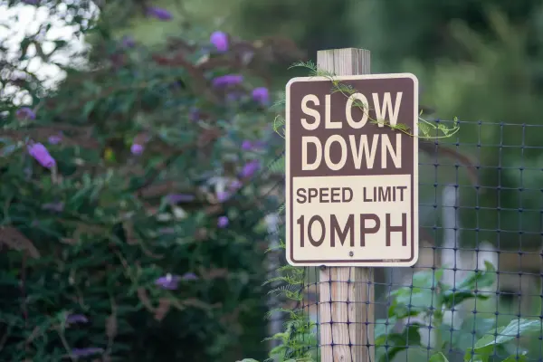 Slow Down 10 MPH sign beside a butterfly bush