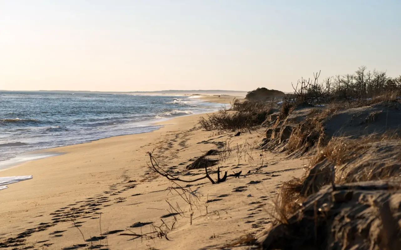 Footprints and eroded dunes along the South Beach shore
