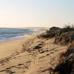 Martha's Vineyard Beach Access and Permits: What Visitors Can Actually Use (2026)