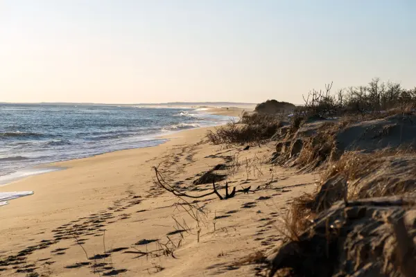 Martha's Vineyard Beach Access and Permits: What Visitors Can Actually Use (2026)