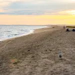 Martha's Vineyard Beach Guide 2026: Parking, Lifeguards, Dogs and Access for All 20 Beaches