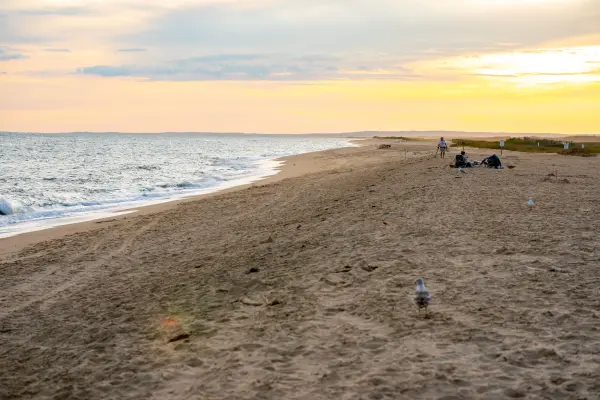 Martha's Vineyard Beach Guide 2026: Parking, Lifeguards, Dogs & Access for All 20 Beaches