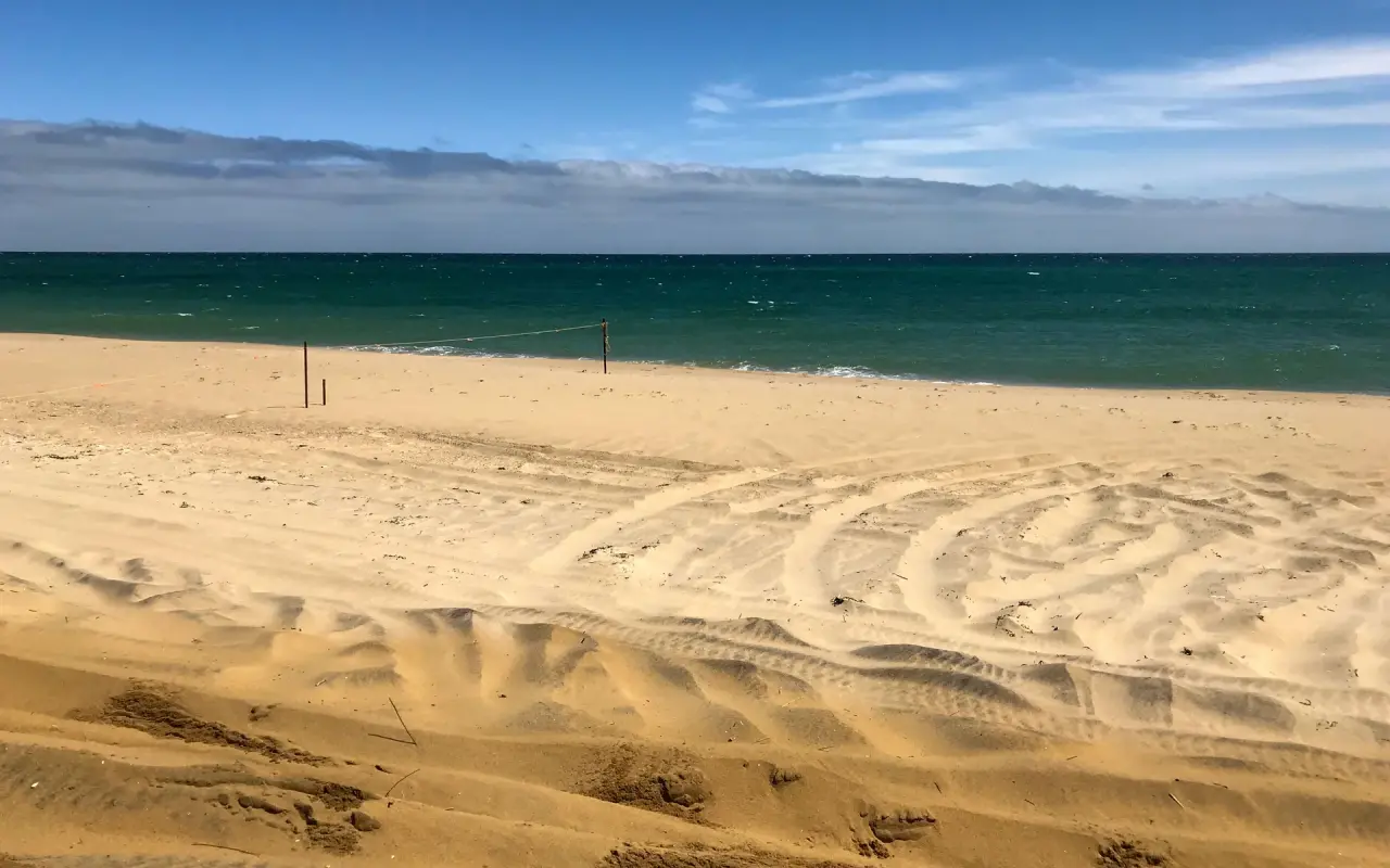 South Beach at Katama on Martha’s Vineyard