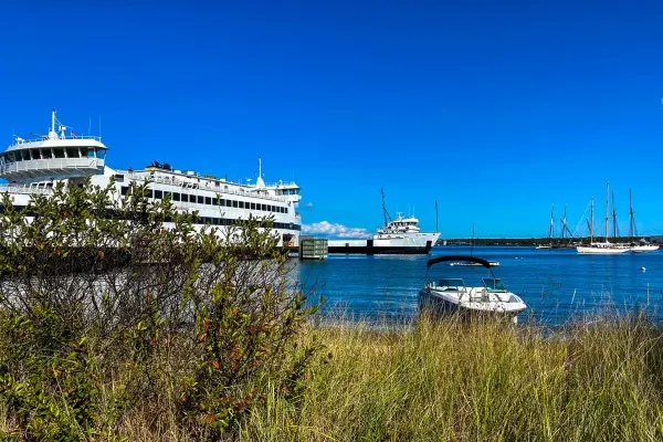 Steamship Authority ferry and boats in Vineyard Haven harbor on a summer day