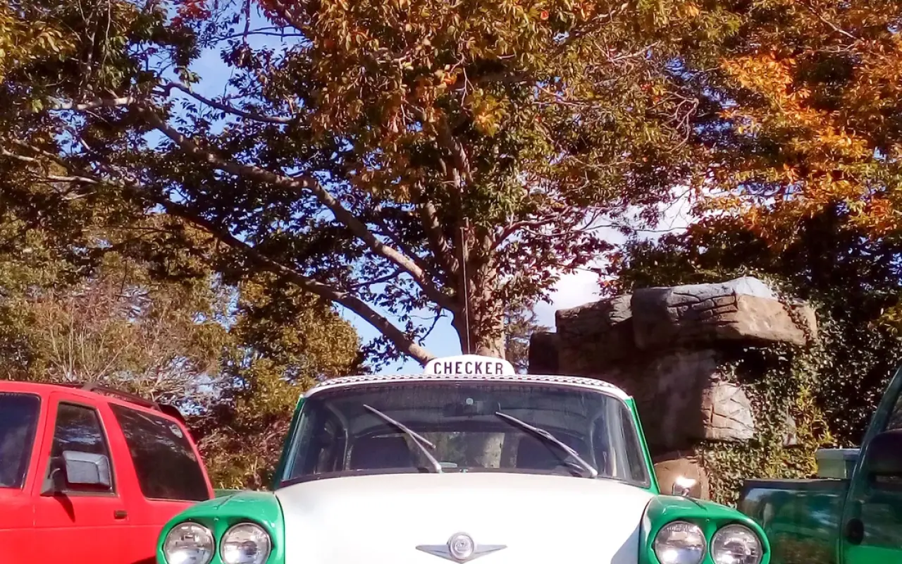 Vintage white and green Checker taxi cab with a roof sign parked under autumn trees
