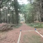 Martha's Vineyard Hiking Trails: The Complete Guide (2026)