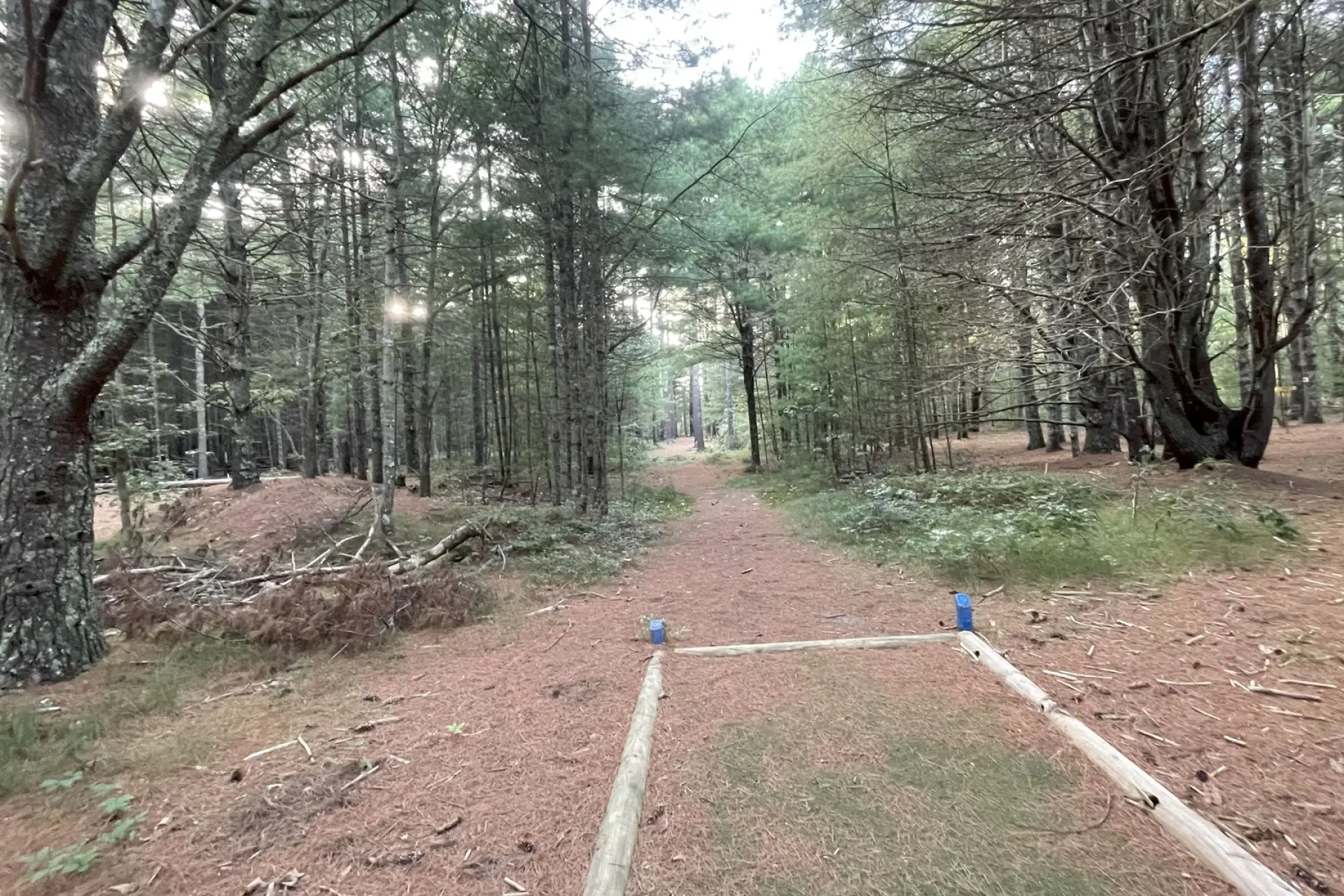 Martha's Vineyard Hiking Trails: The Complete Guide (2026)