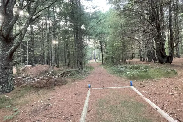 Martha's Vineyard Hiking Trails: The Complete Guide (2026)