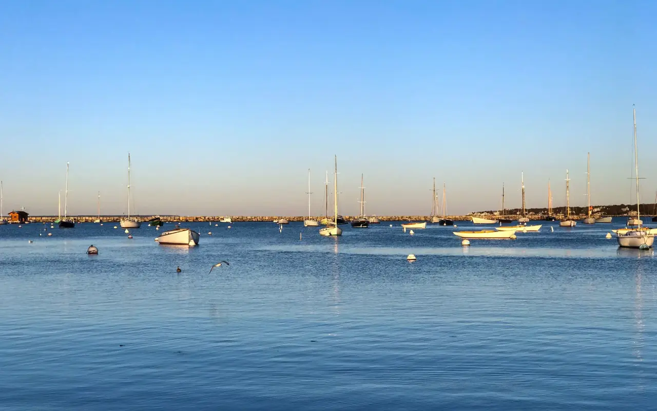 Sailboats moored on calm water in Vineyard Haven harbor with a pale evening sky