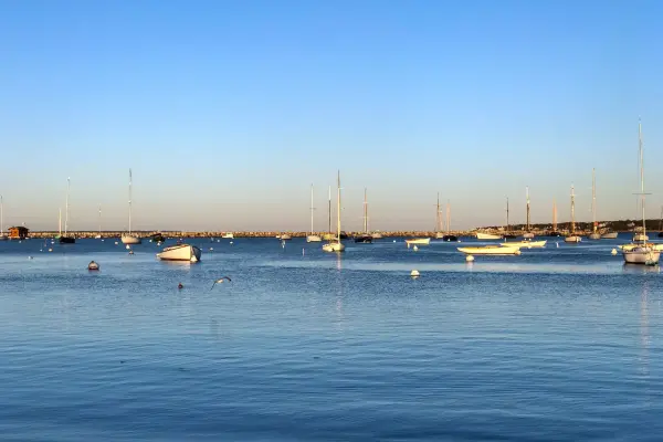 Boats moored in calm Vineyard Haven Harbor at dusk