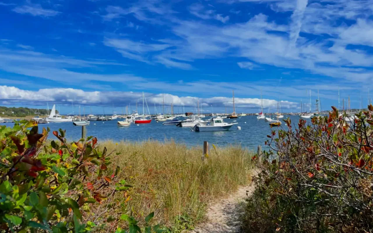 Boats moored in Vineyard Haven harbor seen across beach grass