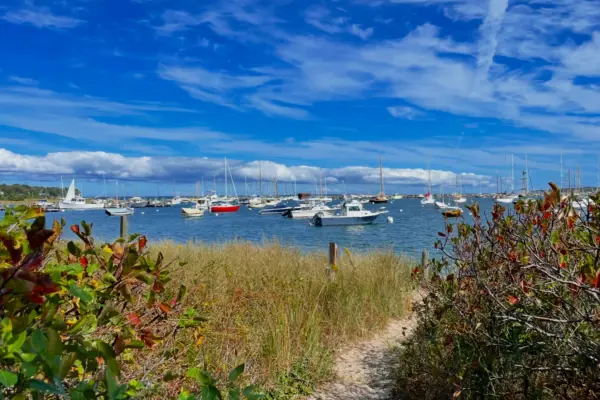 Sandy path down to the Vineyard Haven mooring field