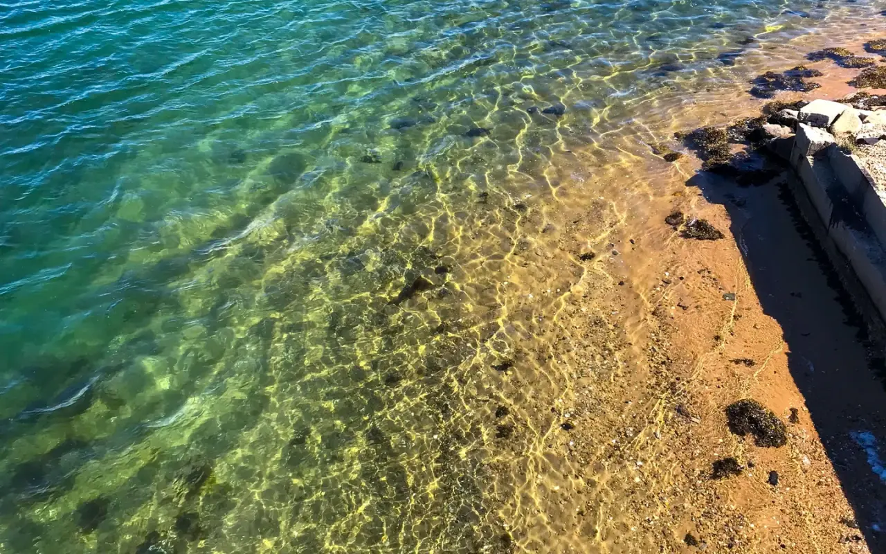 Clear shallow water over sand at a beach in Vineyard Haven