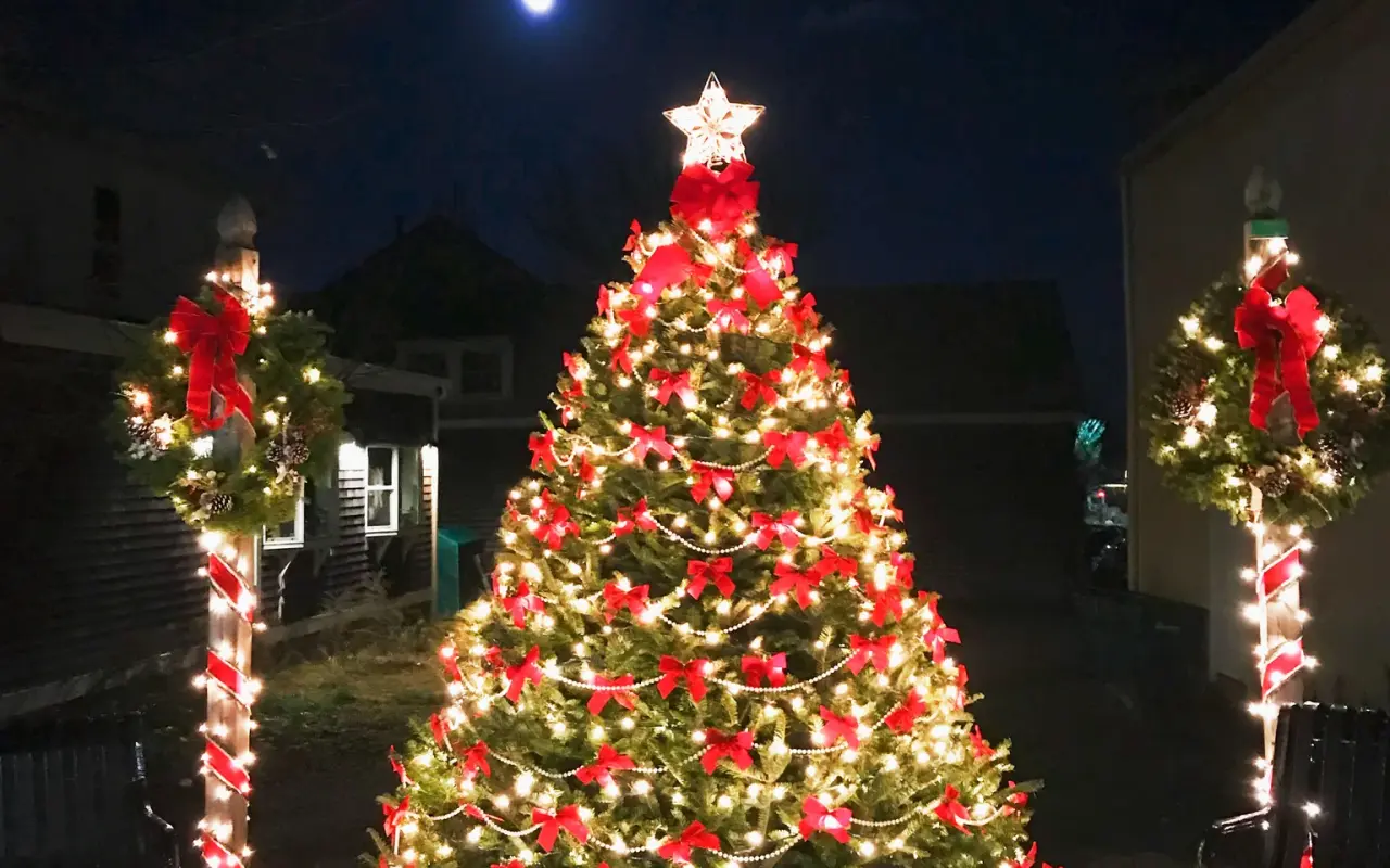 Decorated Christmas tree lit at night in Vineyard Haven with a full moon overhead