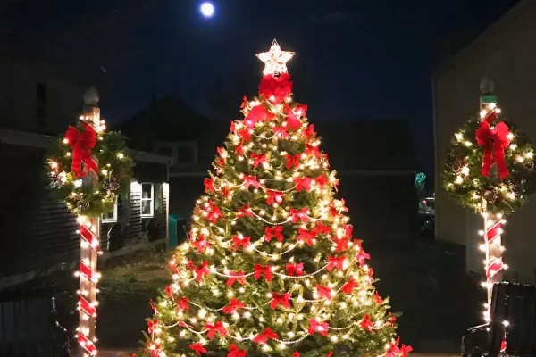 Decorated Christmas tree and wreaths lit up at night