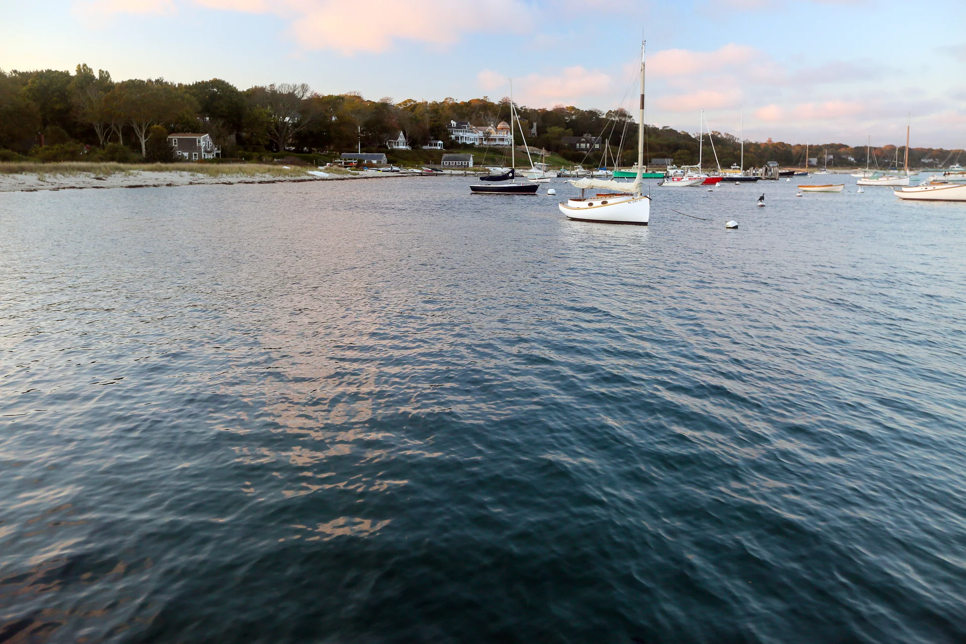 Vineyard Haven Harbor