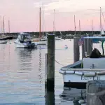 Whale Watching from Martha's Vineyard: How to See Humpbacks at Stellwagen Bank (2026)