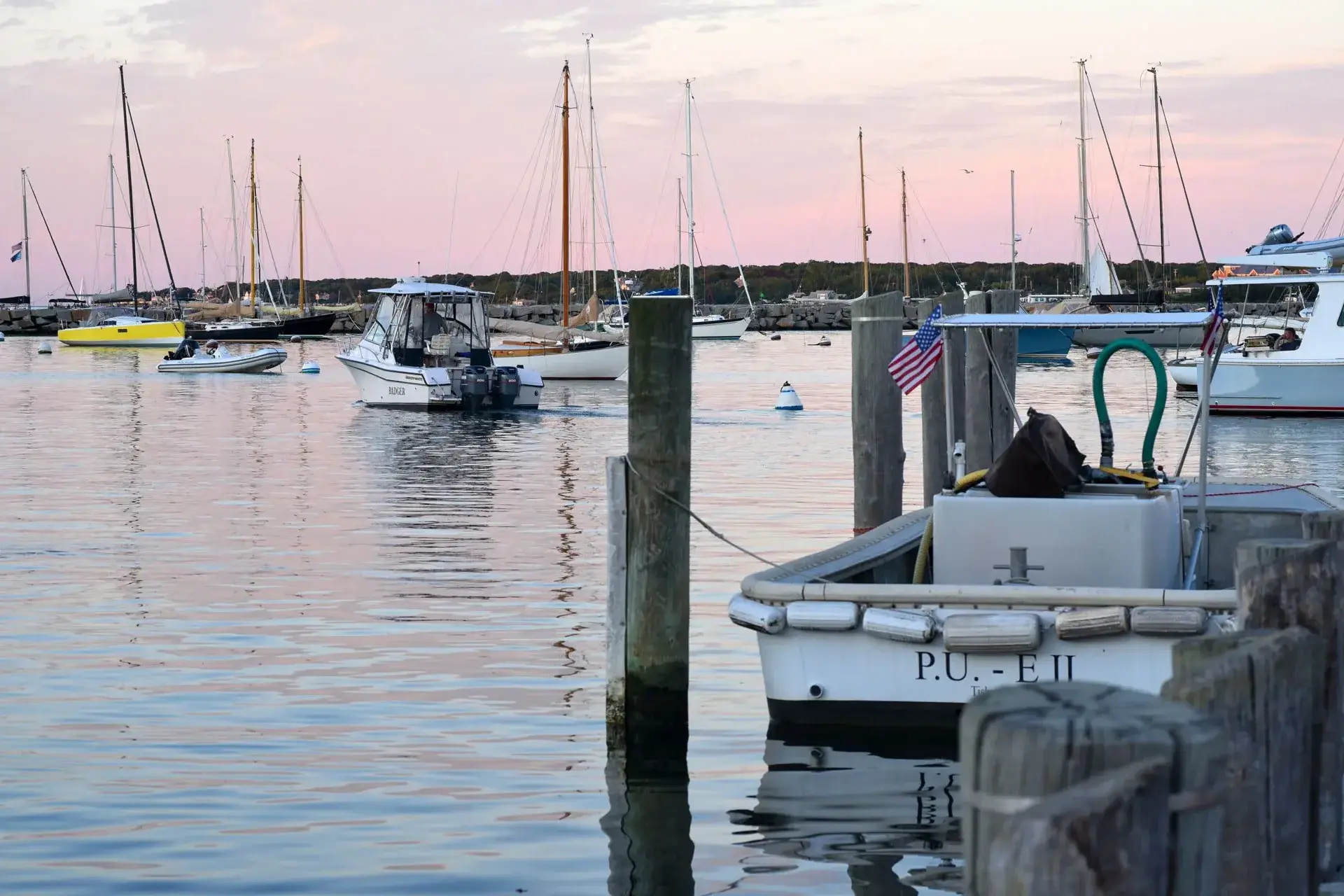 Whale Watching from Martha's Vineyard: How to See Humpbacks at Stellwagen Bank (2026)