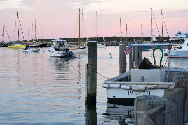 Whale Watching from Martha's Vineyard: How to See Humpbacks at Stellwagen Bank (2026)