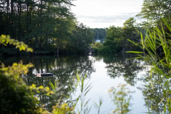 Calm waters of Lake Tashmoo framed by trees