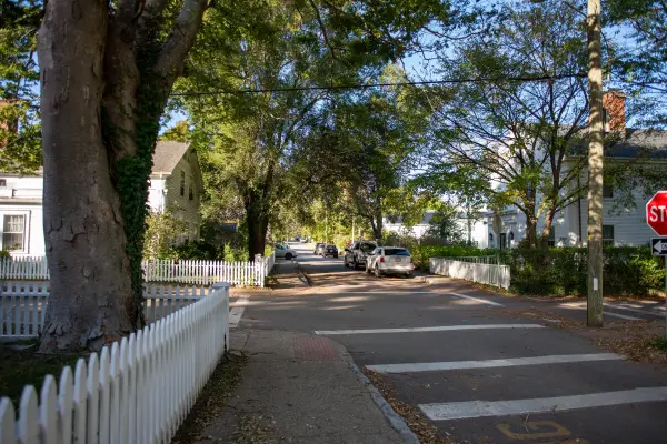 Tree-shaded street corner with picket fences in October