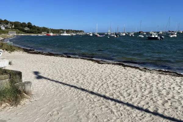 The town beach along Vineyard Haven Harbor on a summer morning
