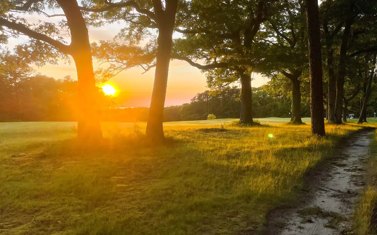 Sunlight through oak trees over a golf fairway at West Chop