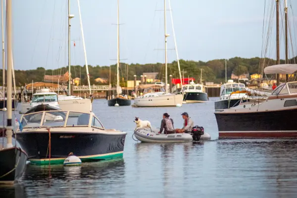 A dinghy ride between the moorings