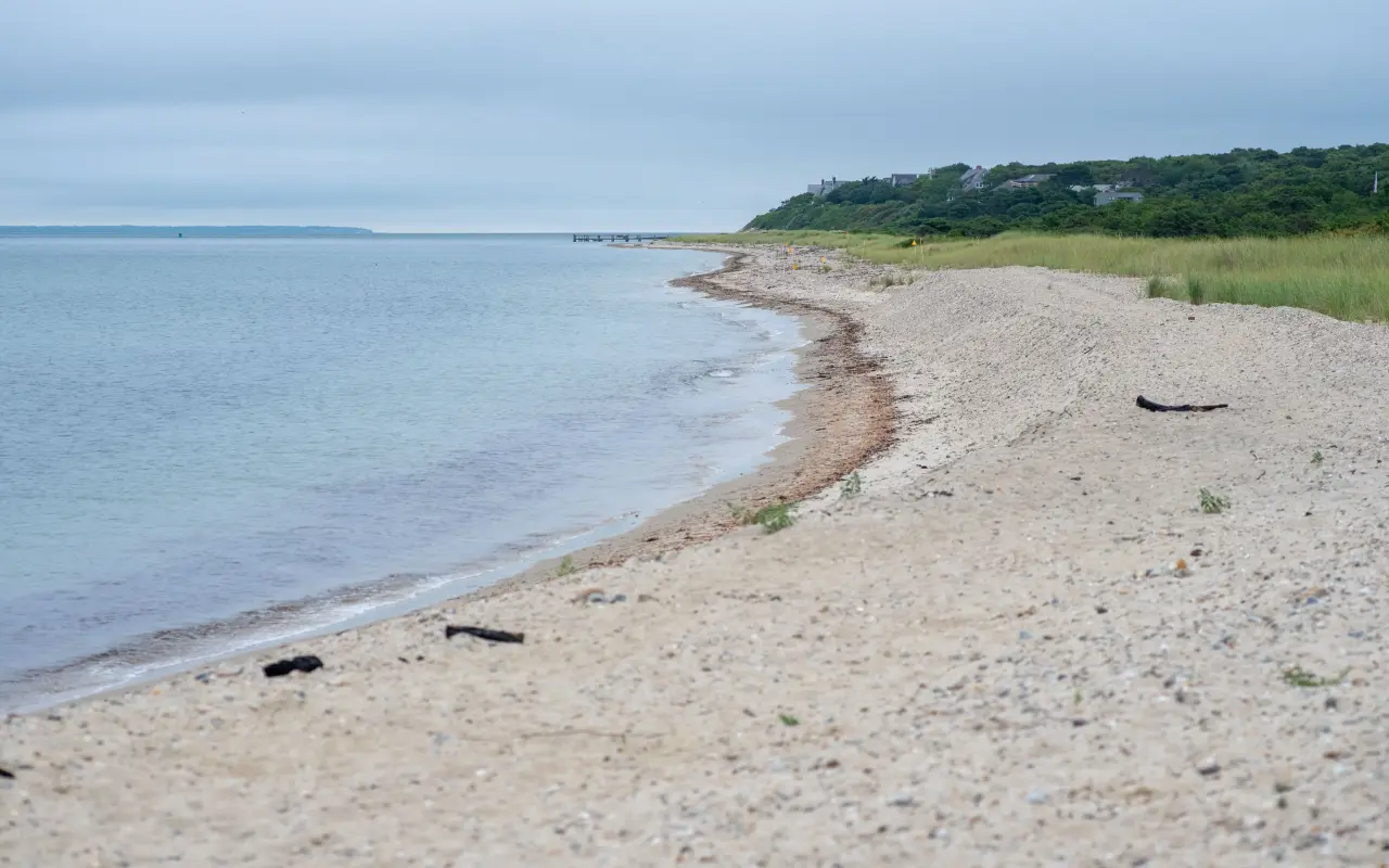Curving sandy beach along Vineyard Sound toward West Chop with a wooded shore beyond