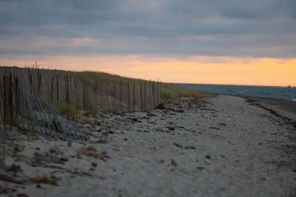 Dune fencing along West Chop beach at dusk
