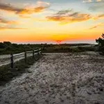 Martha's Vineyard in the Fall (2026): What Closes, What Opens Up and Why Locals Call It the Best Season